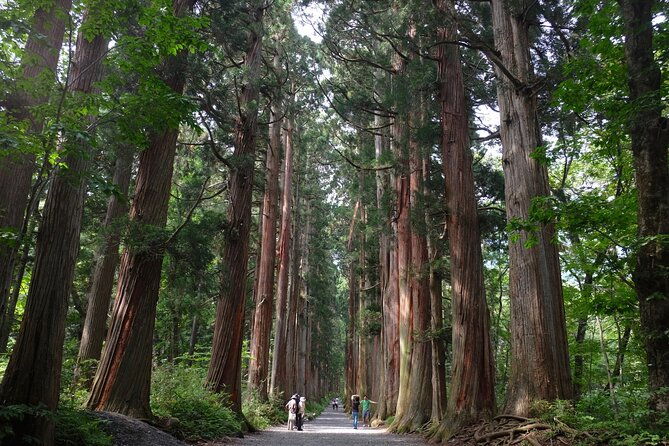 1-day-togakushi-tour-soba-making-ninja-town-and-hidden-shrines