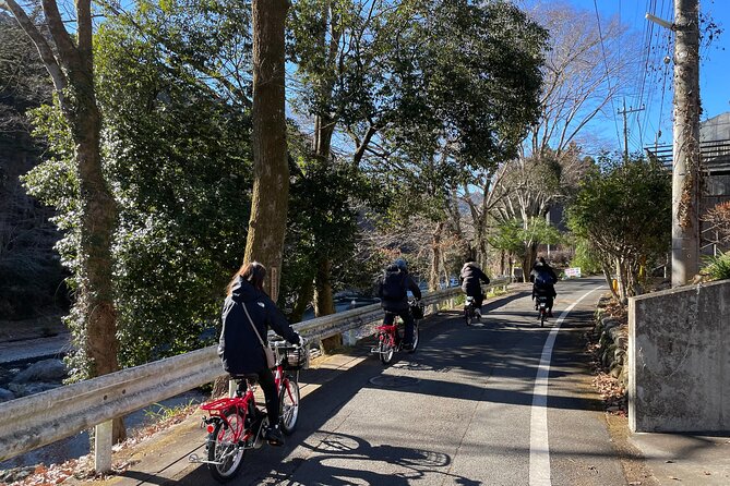 1-day-tokyo-backcountry-okutama-with-e-bike