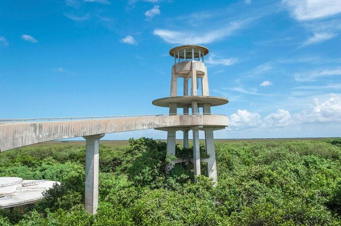 1-hour-air-boat-ride-and-nature-walk-with-naturalist-in-everglades-national-park