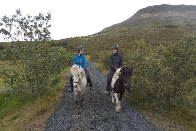 1-hour-private-horse-riding-tour-from-reykjavik-mosfellsbaer