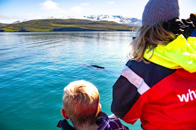 100-whale-watching