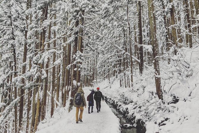 1-Day Winter Tour From Nozawa Onsen: Snow Monkeys, Zenko-ji Temple & Sake