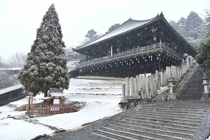 3-days-private-osaka-kyoto-and-nara-tour-with-english-driver-2