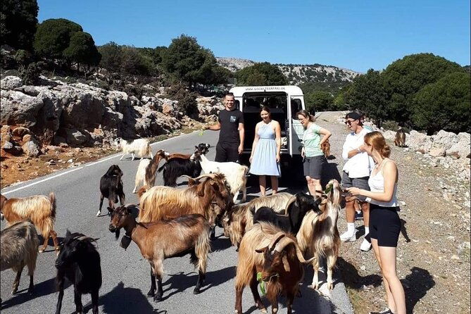 4x4-safari-tour-south-crete-agiofarago-matala