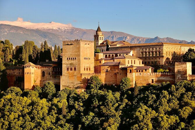 alhambra-and-nasrid-palaces-skip-the-line-ticket-and-local-guide