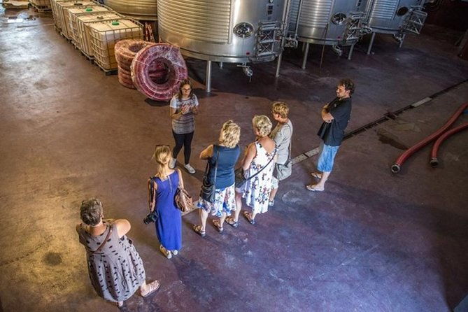 alicante-wine-tour-with-wine-tasting