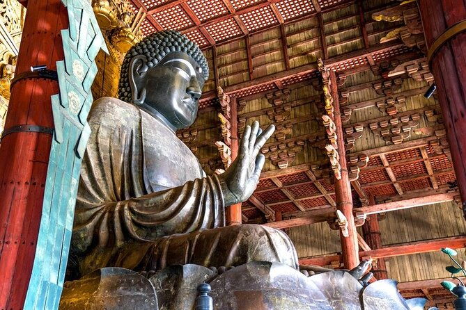 arashiyama-nara-highlights-one-day-private-tour-adventure