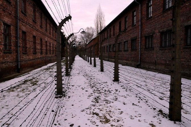 auschwitz-birkenau-memorial-and-museum-group-tour-from-krakow