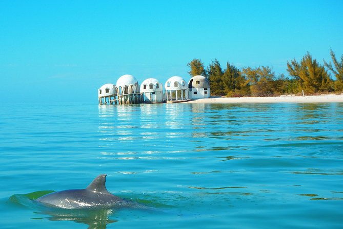 Avis Premium Dolphin Tour by Jet Ski