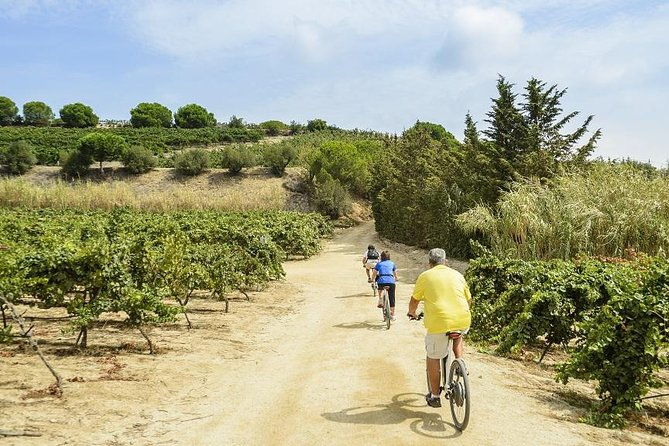 barcelona-ebike-beach-private-tour-to-vineyards-picnic