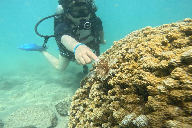 Beginner Scuba Experience With Video Package in Honolulu