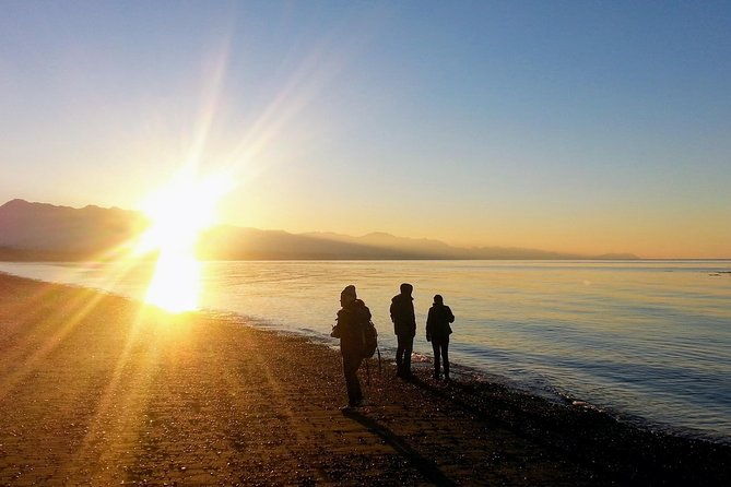 Best of Olympic National Park From Seattle: All-Inclusive Small-Group Day Tour