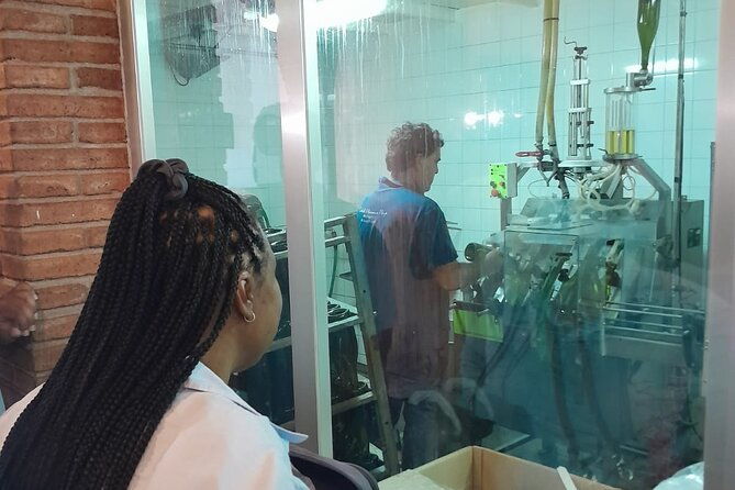 cava-tour-to-3-family-wineries-with-hotel-pick-up