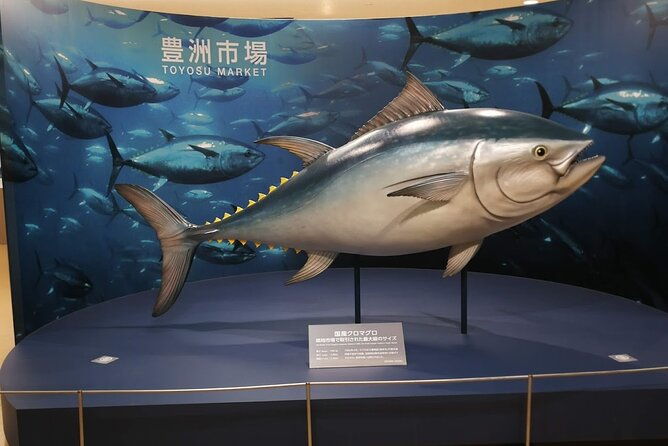 complete-tuna-auction-toyosu-fish-market-tour