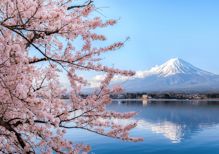 discover-mount-fuji-private-car-van-day-tour-from-tokyo
