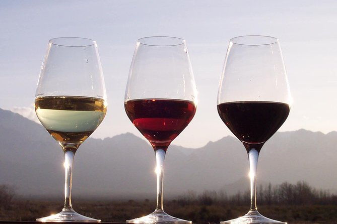 douro-valley-private-wine-tour-from-porto