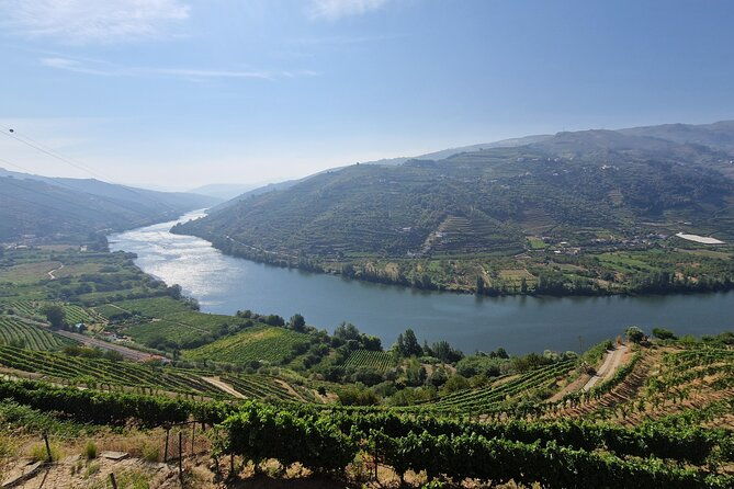 douro-valley-tour-wine-tasting-river-cruise-and-lunch-from-porto