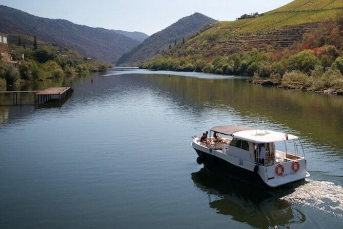 douro-valley-wine-premium-tour-winerys-lunch-boat-from-porto