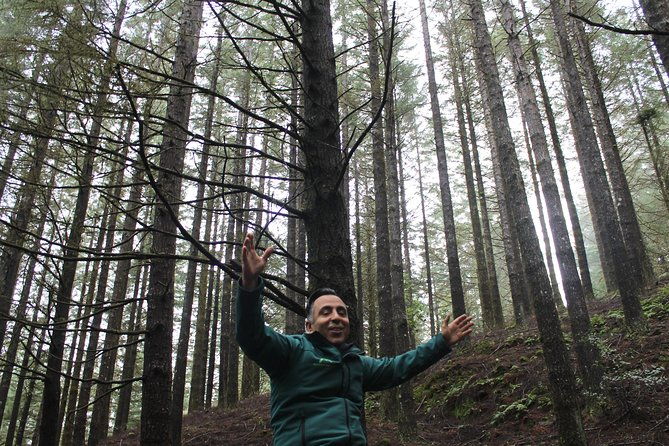 east-tour-4x4-small-group