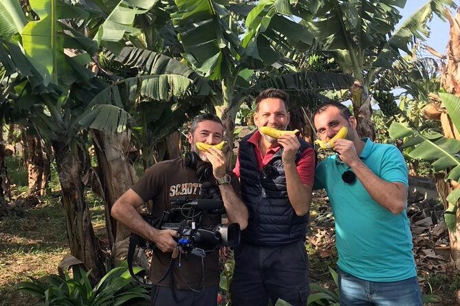ecological-banana-plantation-tour