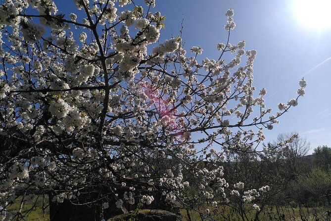 educational-visit-of-a-certified-organic-micro-farm-in-trancoso