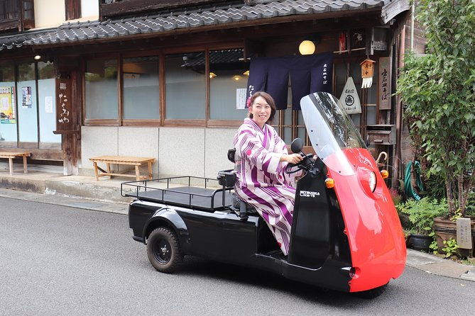 EV Car Rental Basket Group Local Tour & Guide