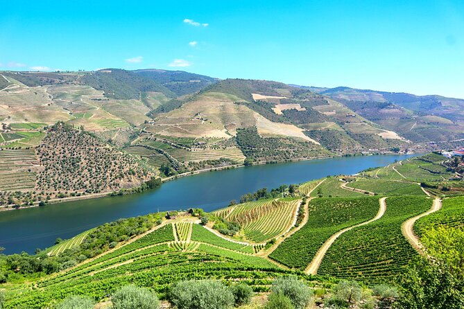 exclusive-douro-valley-visit-3-wineries-9-wine-tastings-lunch