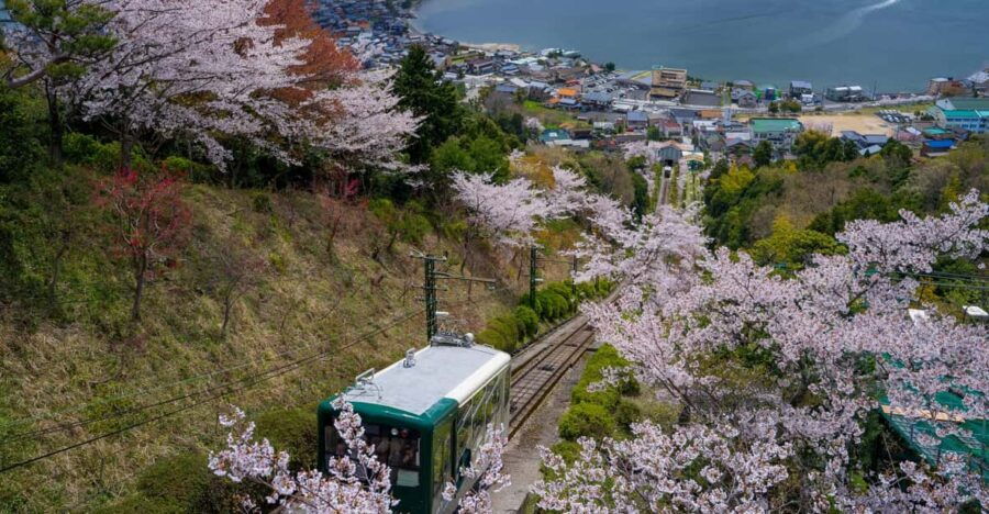 explore-amanohashidate-ine-bay-day-tour-from-osaka-2