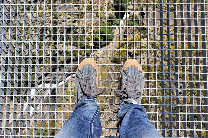 from-porto-aveiro-paiva-walkways-suspension-bridge-and-lunch