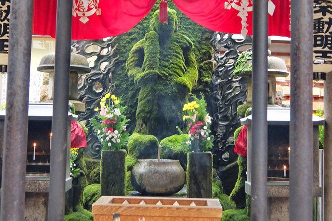 full-day-guided-tour-in-osaka-by-van