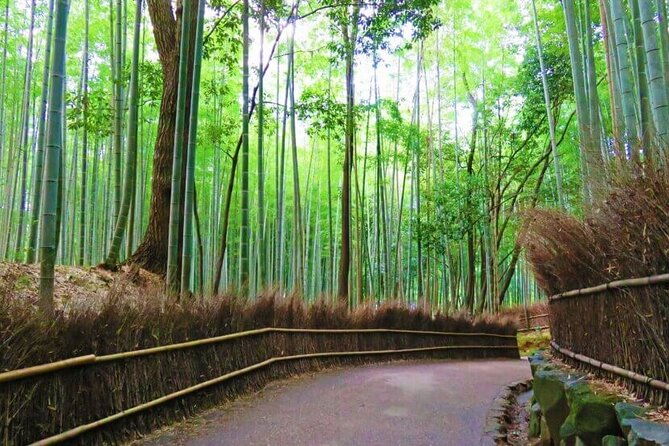 full-day-guided-tour-to-kyoto-top-3-from-osaka-by-van