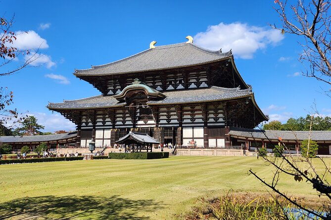 full-day-guided-tour-to-nara-from-osaka-by-van