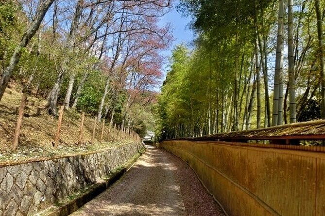 full-day-private-walking-day-tour-in-kyoto-with-tea