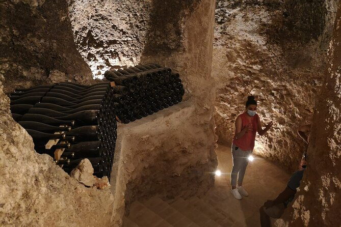 guided-madrid-countryside-wine-tasting-winery-tour