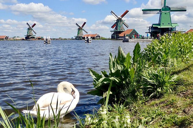 highlights-of-holland-private-guided-tour-from-amsterdam