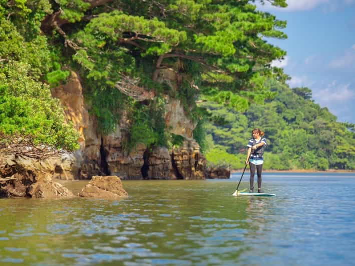 iriomote-mangrove-sup-and-snorkeling-at-coral-island