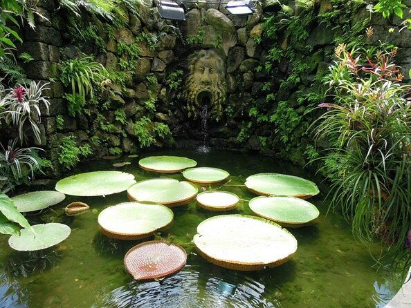 ischia-and-la-mortella-gardens