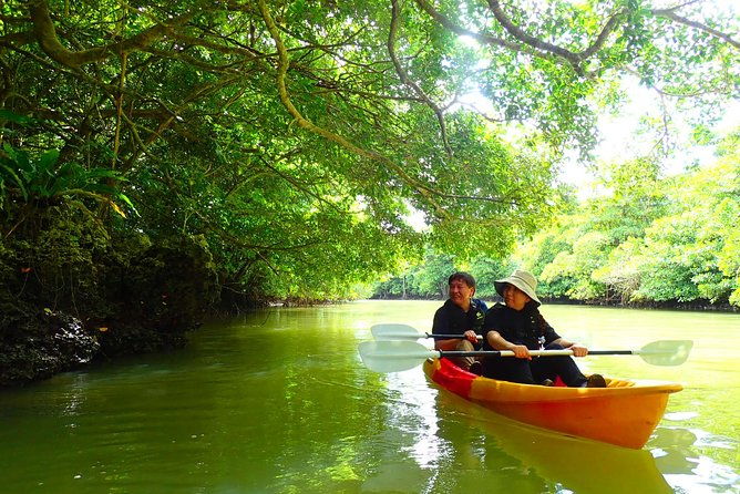 Ishigaki]Mangrove SUP/Canoe Tour