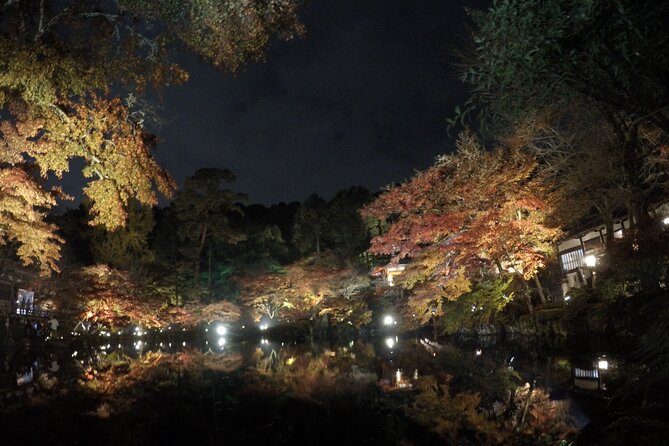 Japan Kyoto Online Tours Virtual Experience