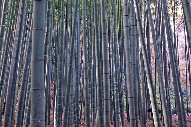 kamakura-walking-tour-with-local-guide-including-hokokuji-temple