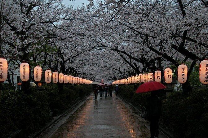 kamakura-yokohama-one-day-tour-with-english-driver