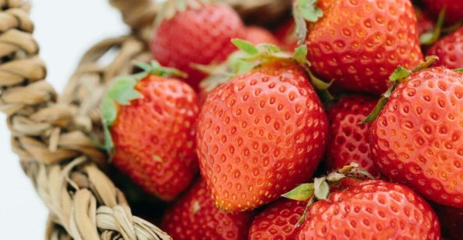 kumamoto-strawberry-picking-with-dessert-at-nakahata-farm
