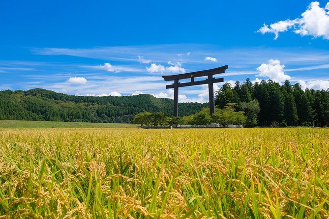 Kumano Kodo Pilgrimage Tour With Licensed Guide & Vehicle