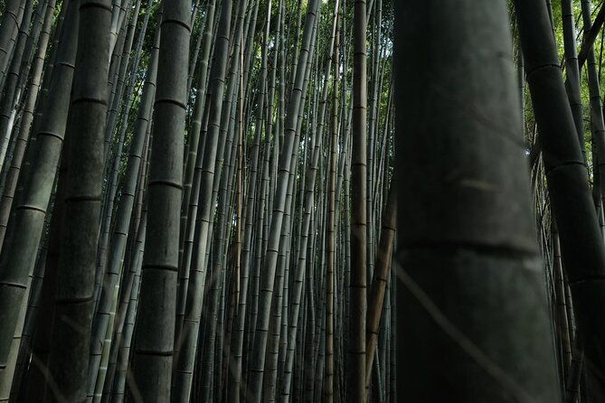 kyoto-arashiyama-bamboo-forest-hidden-hiking-tour