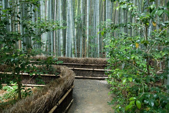 kyoto-bamboo-forest-electric-bike-tour