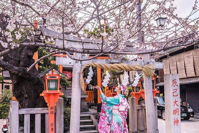 kyoto-highlight-private-tour-with-english-speaking-driver