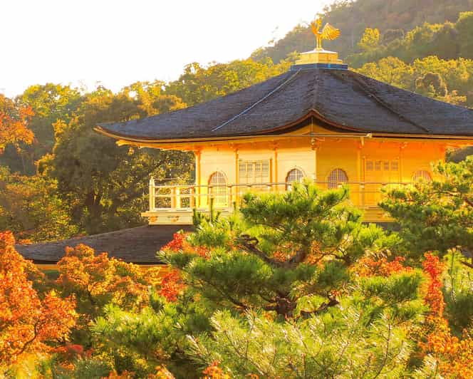 kyoto-kinkaku-ji-autumn-leaves-guided-tour-90-minutes