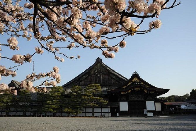 kyoto-morning-tour-round-trip-from-kyoto