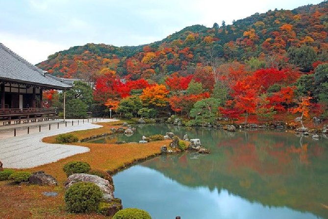 kyoto-sagano-bamboo-grove-arashiyama-walking-tour