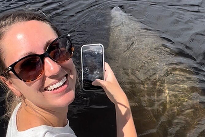 manatee-sightseeing-and-wildlife-boat-tour